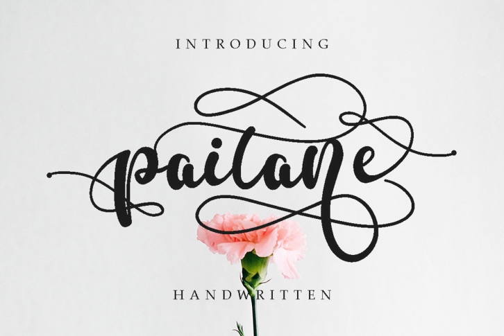 Paitane Font Font Download