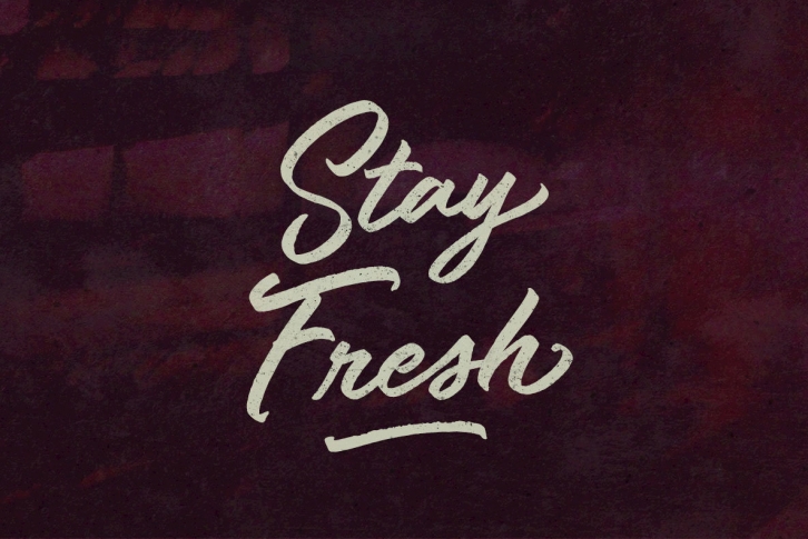 Stay Fresh Font Font Download