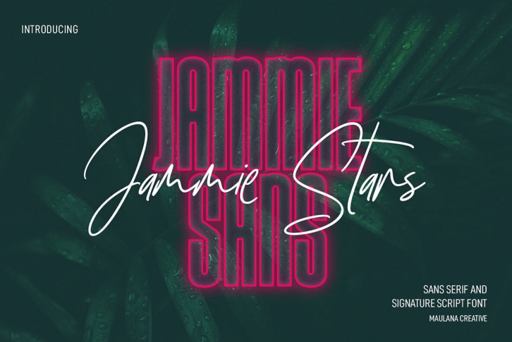 Jammie Stars and Jammie Sans Font Font Download