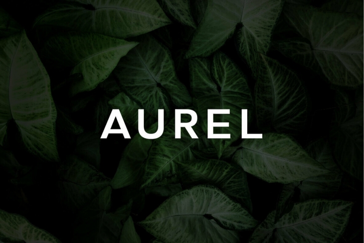 Aurel Font Font Download