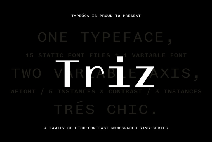 Triz Font Font Download