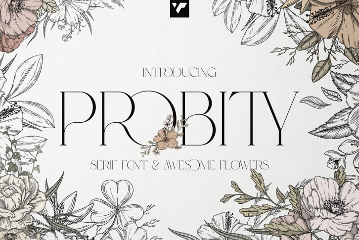 Probity Font Font Download