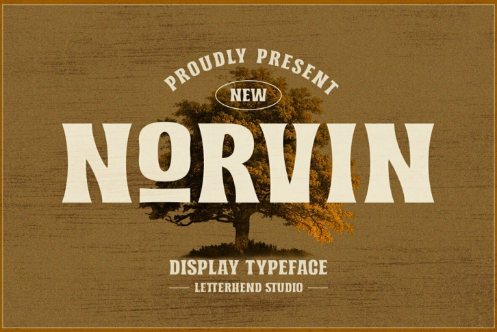 Norvin Font Font Download