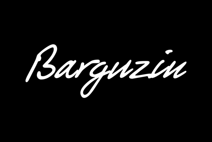 Barguzin Font Font Download