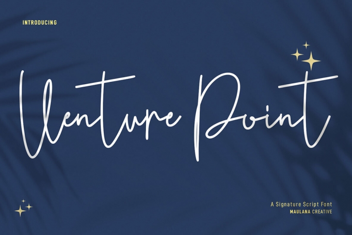 Venture Point Font Font Download