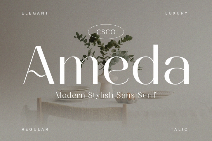 Ameda Font Font Download