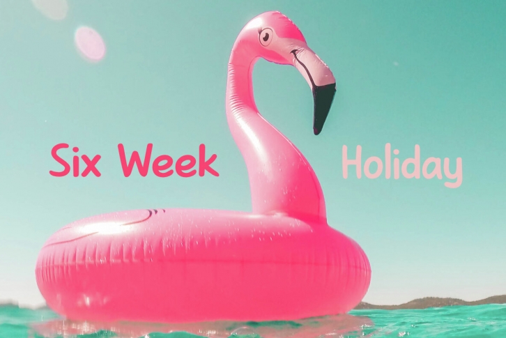 Six Week Holiday Font Font Download