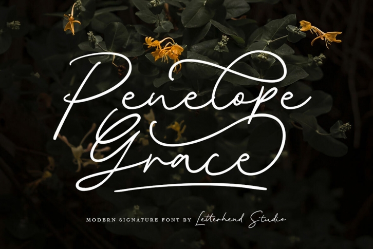 Penelope Grace Font Font Download