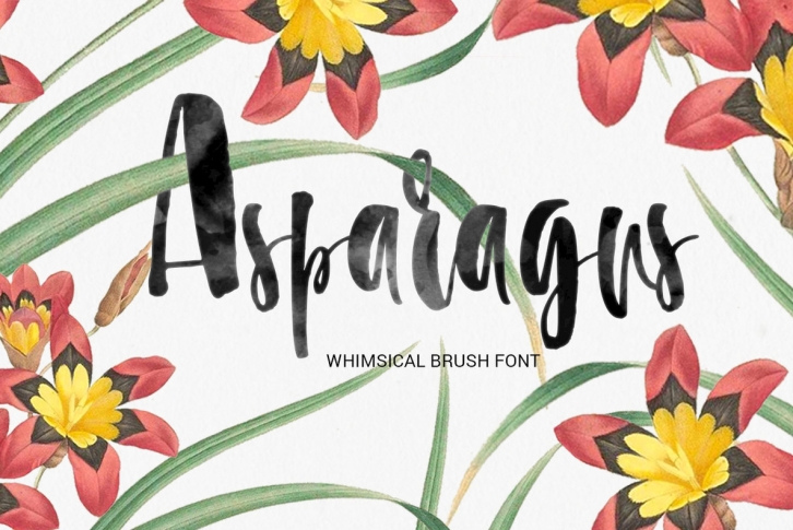 Asparagus Font Font Download