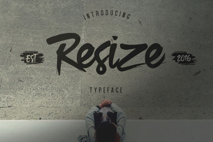 Resize Font Font Download