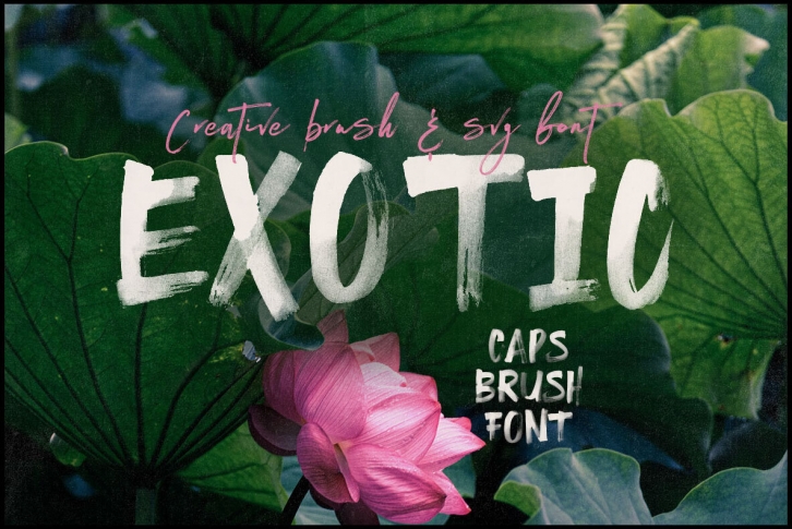 Exotic Brush SVG Font Font Download