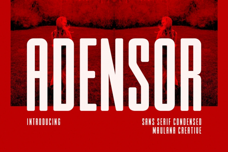 Adensor Font Font Download