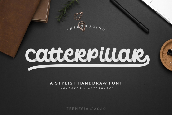 Catterpillar Font Font Download