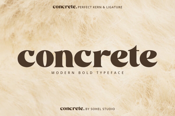 Concrete Modern Font Font Download