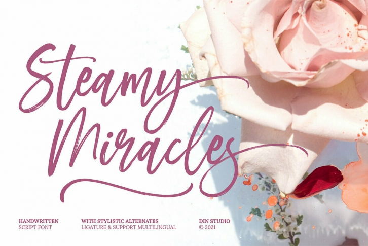 Steamy Miracles Font Font Download