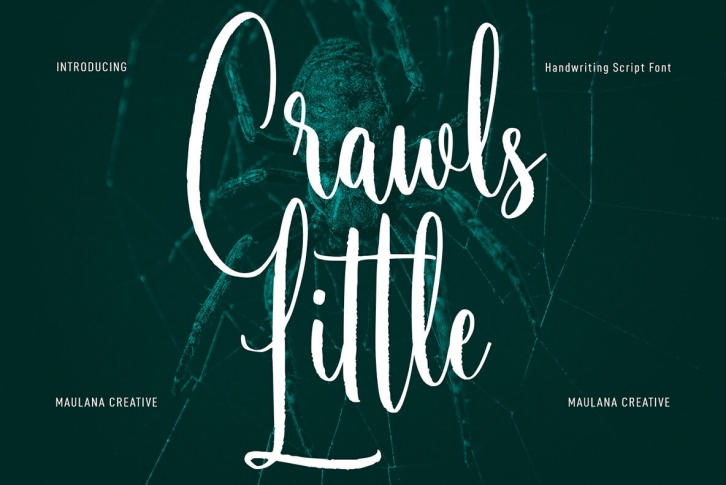 Little Crawls Font Font Download