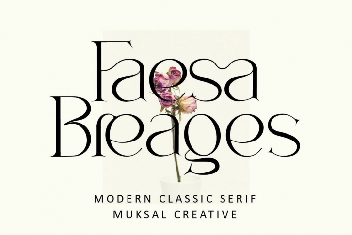 Feasa Breages Font Font Download