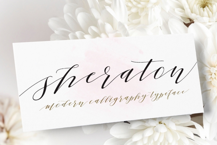 Sheraton Font Font Download