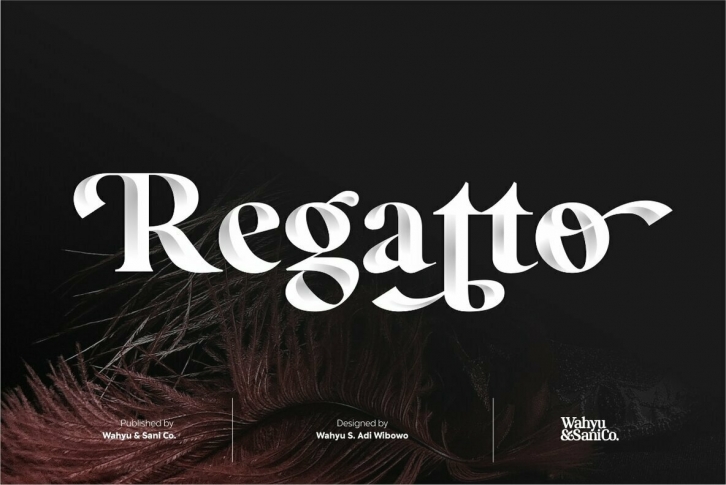 Regatto Font Font Download