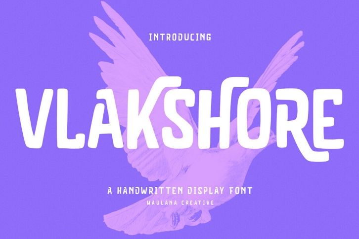 Vlakshore Font Font Download