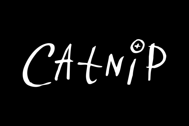 Catnip Font Font Download