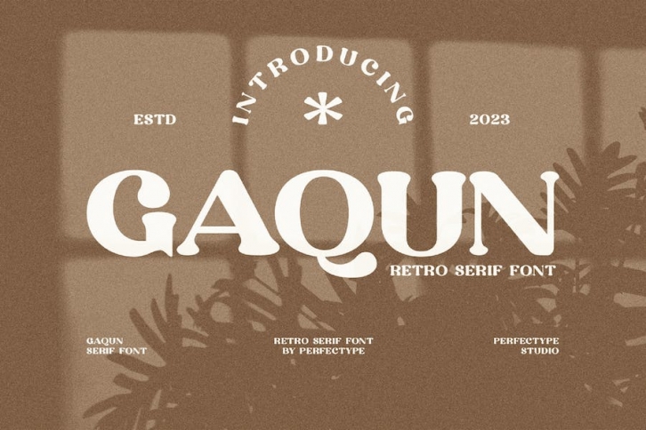 Gaqun Elegant Serif Font Typeface Font Download