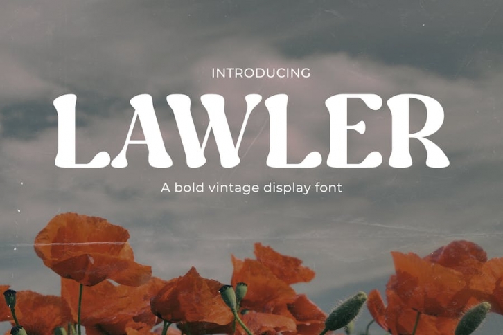 Lawler - Vintage Modern Font Font Download