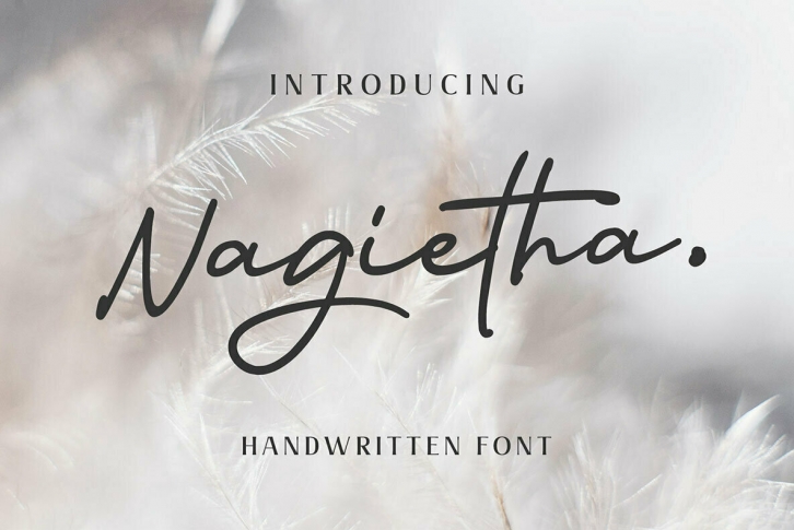 Nagietha Font Font Download