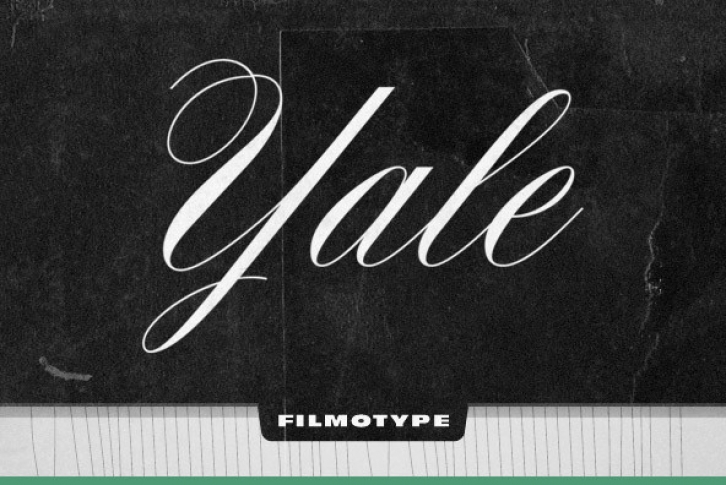 Filmotype Yale Font Font Download