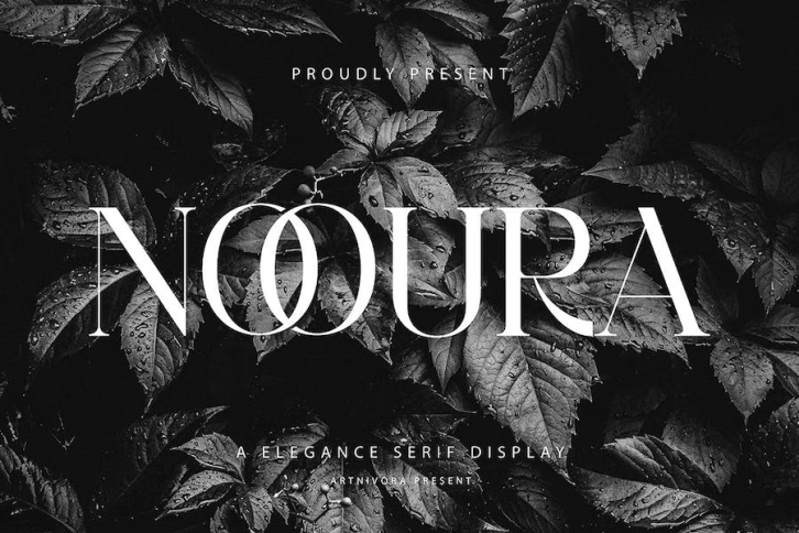 Nooura - Elegance Serif Font Font Download