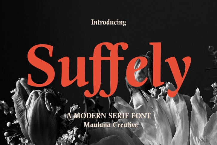 Suffely Font Font Download