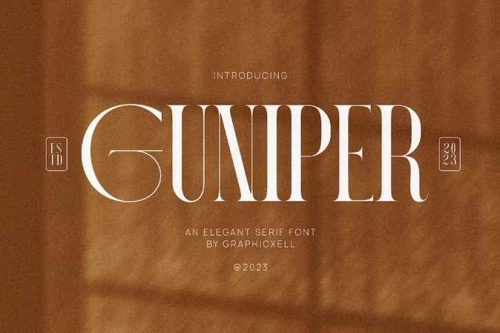 Guniper Elegant Serif Font Typeface Font Download