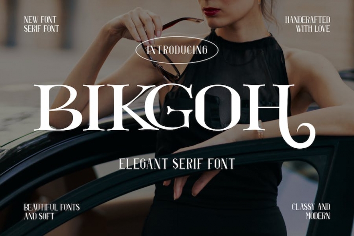 Bikgoh Modern Serif Font Font Download