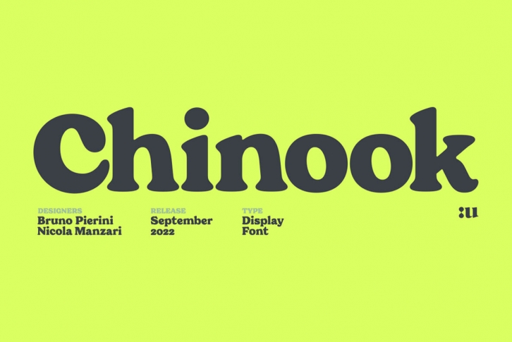 Chinook Font Font Download