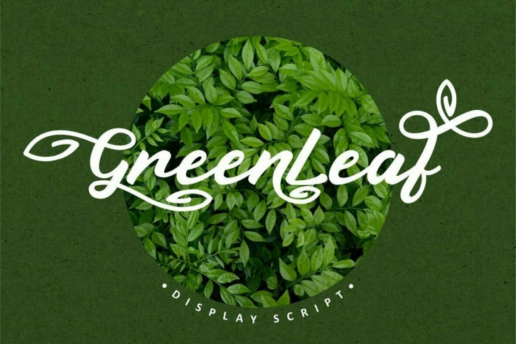 Green Leaf Font Font Download