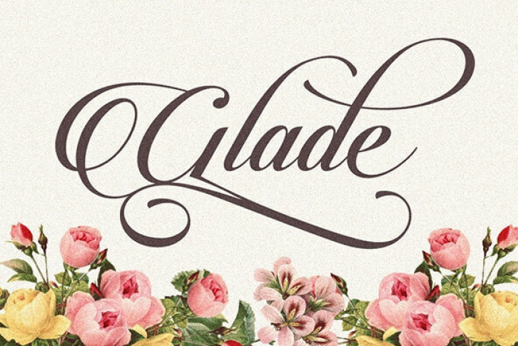 Candlescript Pro Font Font Download