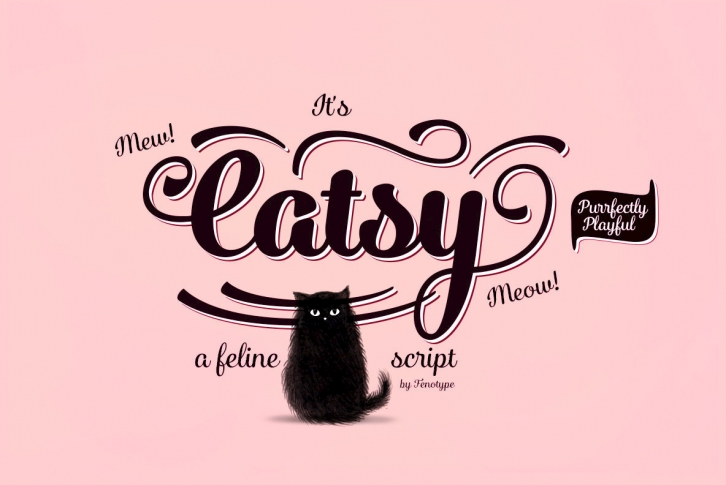 Catsy Font Font Download