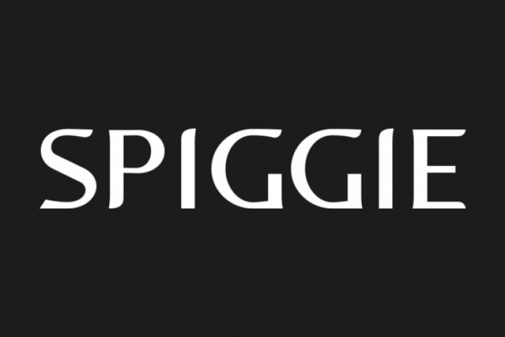 P22 Spiggie Pro Font Font Download