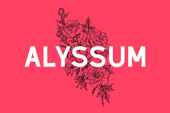 Alyssum Font Font Download