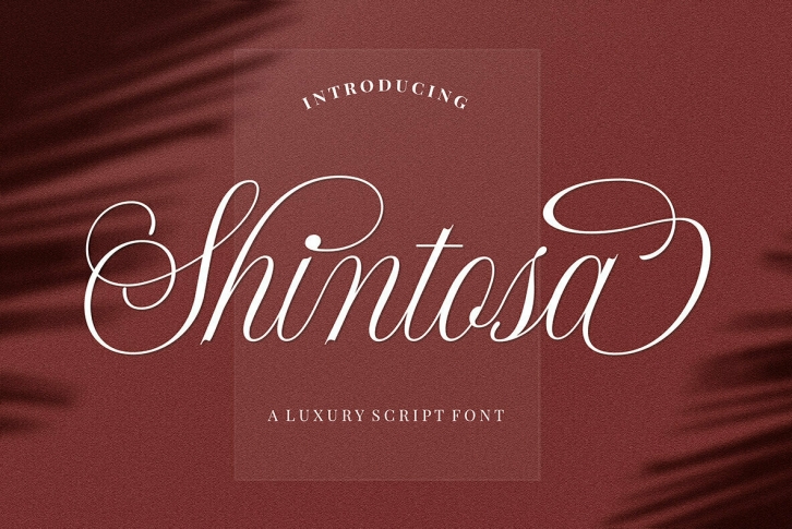 Shintosa Script Font Font Download