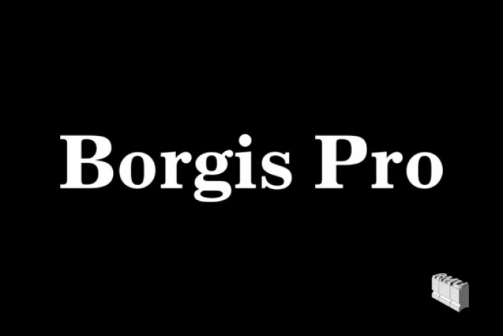 Borgis Pro Font Font Download