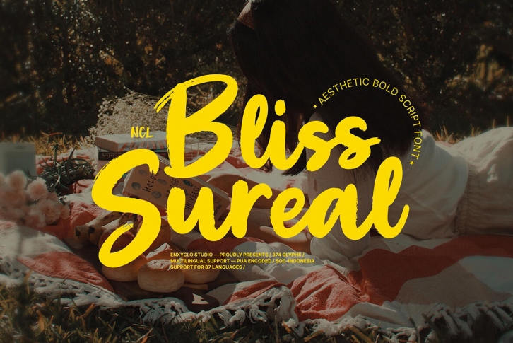 Ncl Bliss Sureal Font Font Download