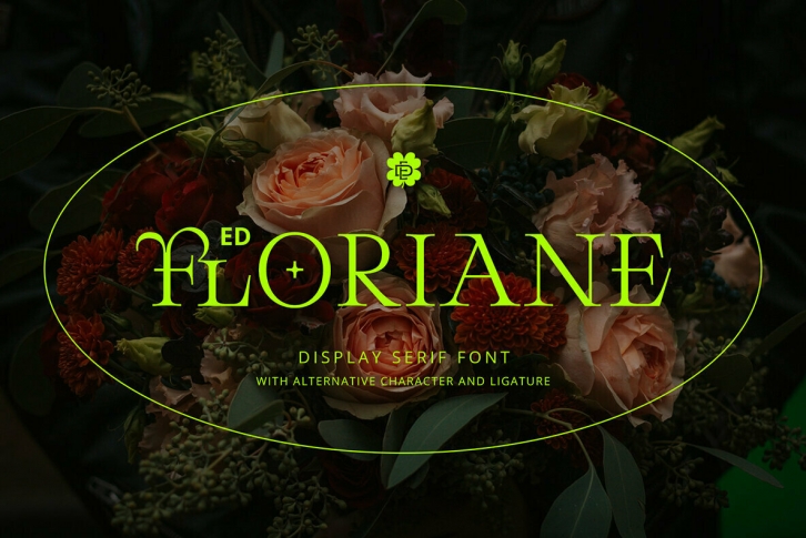 ED Floriane Font Font Download