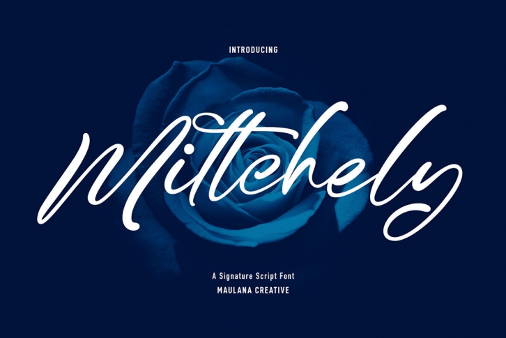 Mittchely Font Font Download