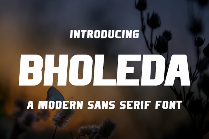 Bholeda  Sans Serif Font Font Download