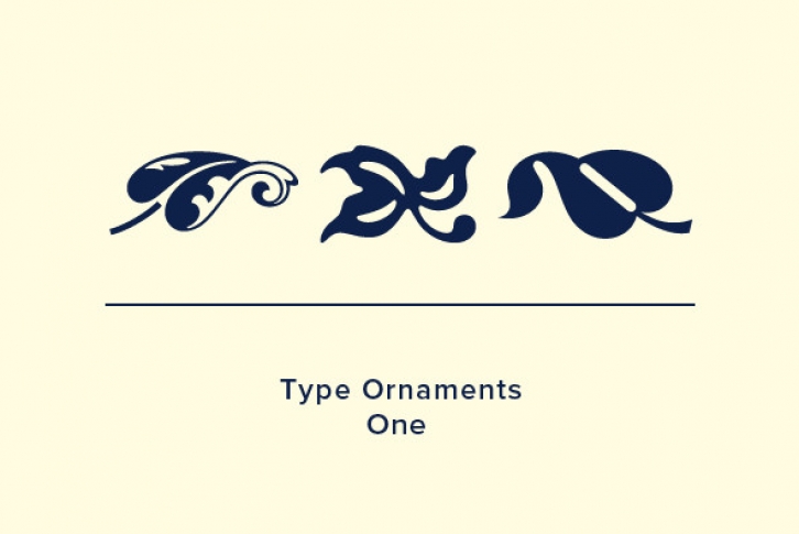 Design Type Embellishments 1 Font Download