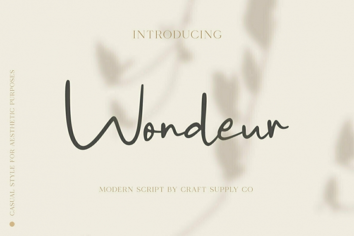 Wondeur Font Font Download