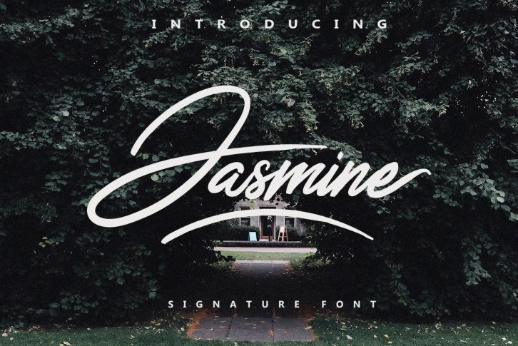 Jasmine Script Font Font Download