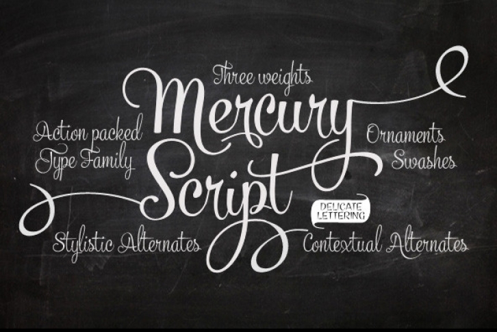 Mercury Script Font Font Download