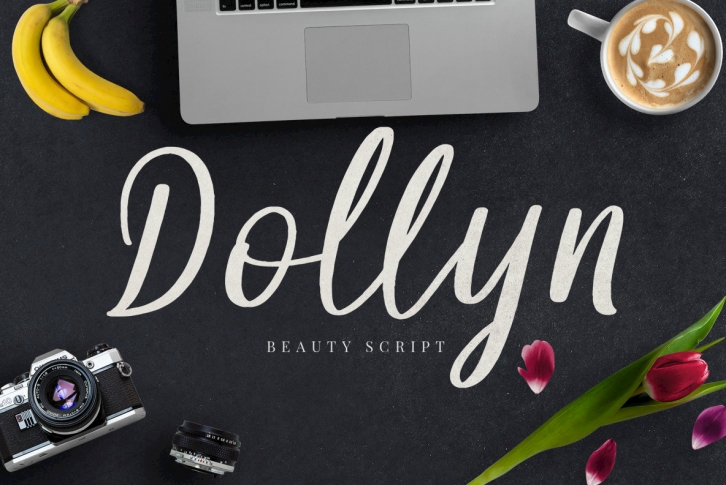 Dollyn Script Font Font Download